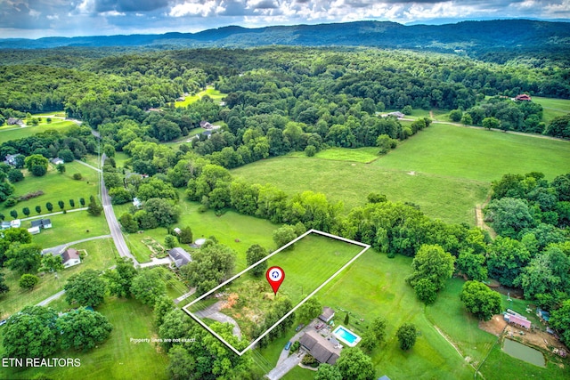 1350 Hopewell Rd, Knoxville, TN 37920 - photo 5