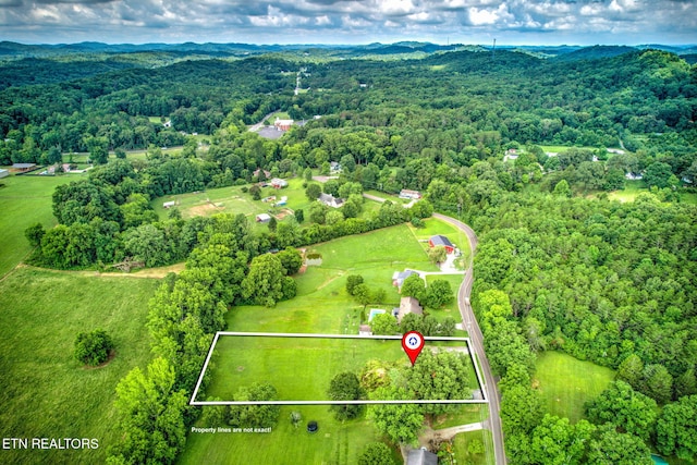 1350 Hopewell Rd, Knoxville, TN 37920 - photo 6