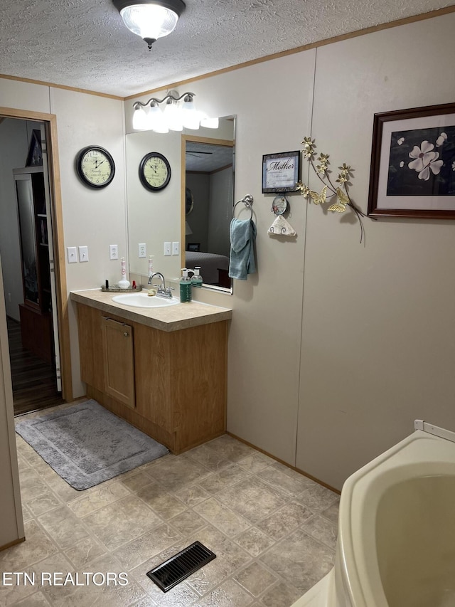 142 Lone Holly Ln, New Tazewell, TN 37825 - bathroom featuring crown molding, vanity, and a textured ceiling