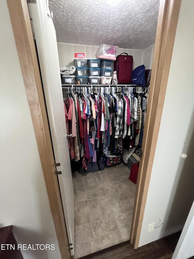 142 Lone Holly Ln, New Tazewell, TN 37825 - view of spacious closet