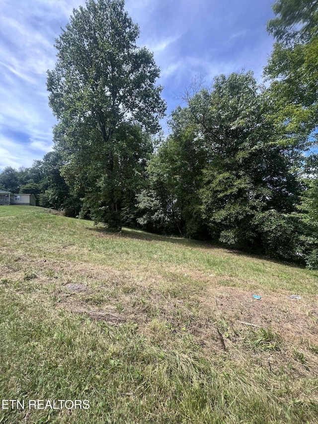 142 Lone Holly Ln, New Tazewell, TN 37825 - view of yard