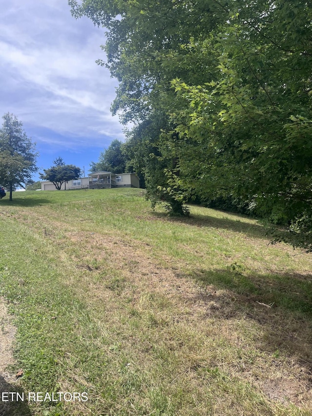 142 Lone Holly Ln, New Tazewell, TN 37825 - view of yard