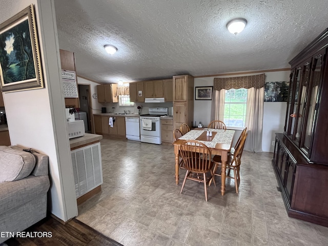 142 Lone Holly Ln, New Tazewell, TN 37825 - dining space with a textured ceiling and crown molding