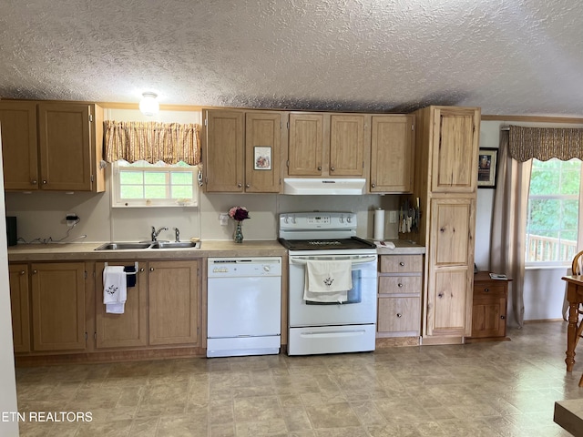 142 Lone Holly Ln, New Tazewell, TN 37825 - kitchen featuring white appliances, under cabinet range hood, plenty of natural light, a textured ceiling, and light countertops