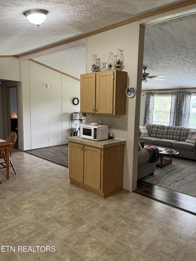 142 Lone Holly Ln, New Tazewell, TN 37825 - kitchen with white microwave, a textured ceiling, vaulted ceiling, open floor plan, and ceiling fan