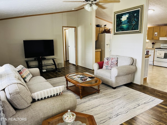 142 Lone Holly Ln, New Tazewell, TN 37825 - living area featuring vaulted ceiling, a textured ceiling, ceiling fan, wood finished floors, and ornamental molding