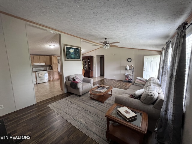 142 Lone Holly Ln, New Tazewell, TN 37825 - living area featuring a textured ceiling, wood finished floors, ceiling fan, and ornamental molding