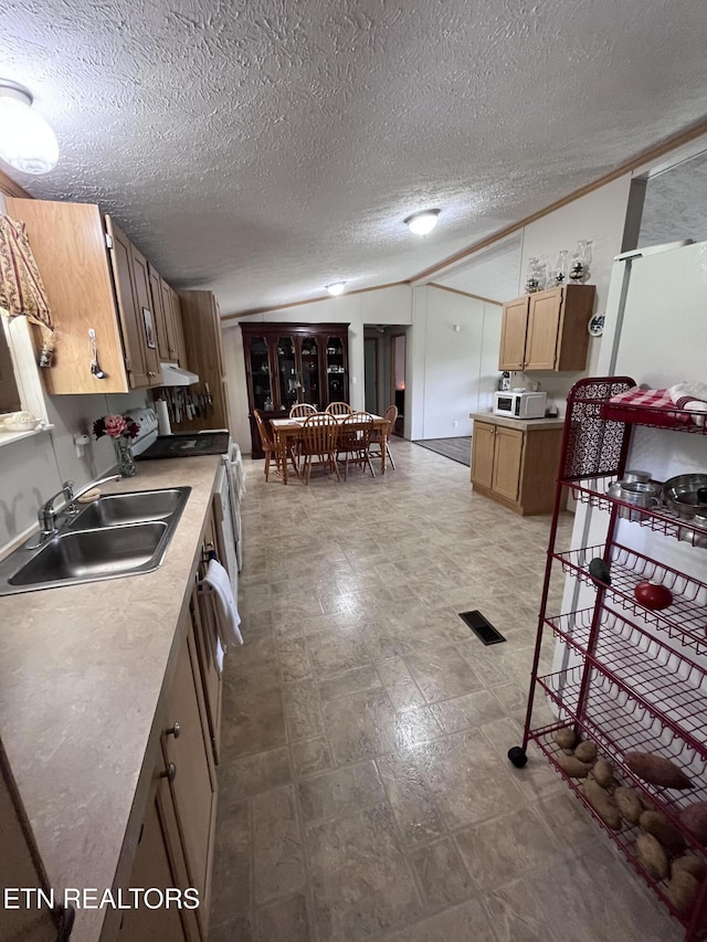 142 Lone Holly Ln, New Tazewell, TN 37825 - kitchen with vaulted ceiling, white microwave, light countertops, range, and a textured ceiling