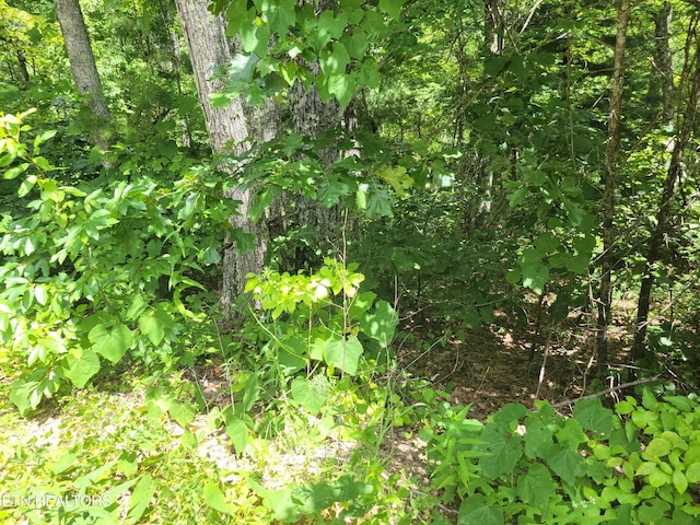LOT20 Hickory Tree St, Sevierville, TN 37876