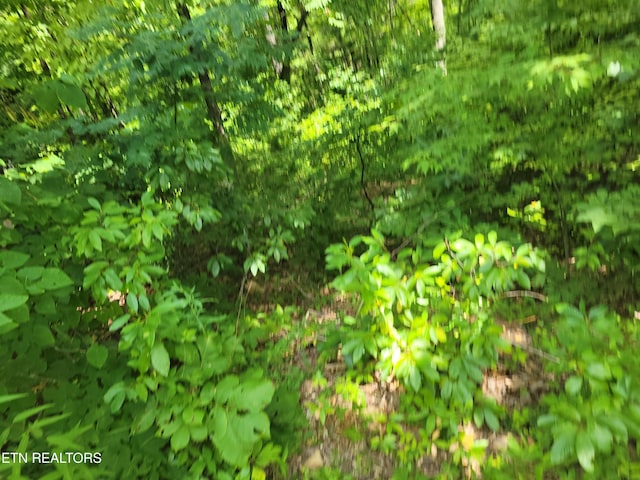 LOT20 Hickory Tree St, Sevierville, TN 37876