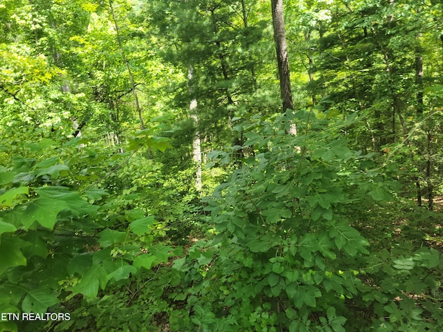 LOT20 Hickory Tree St, Sevierville, TN 37876