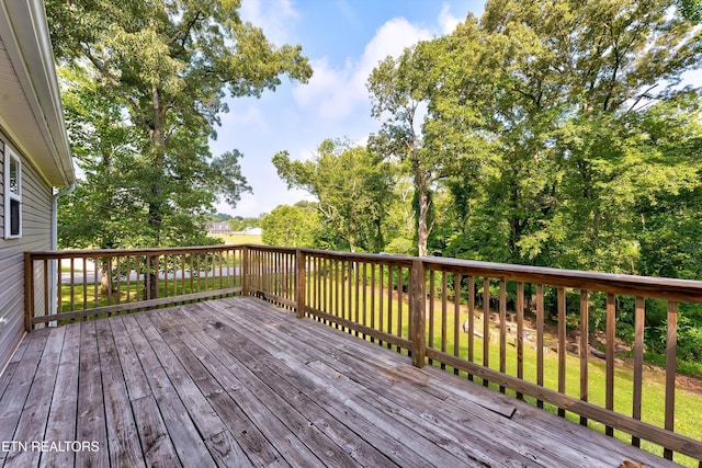 101 Shady Ln, Rockwood, TN 37854 - photo 24