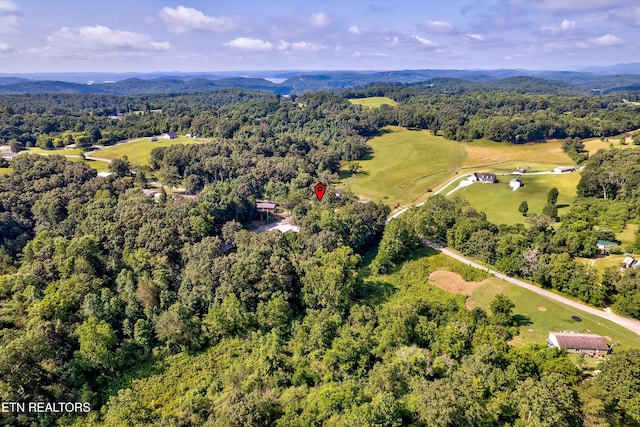 101 Shady Ln, Rockwood, TN 37854 - photo 31
