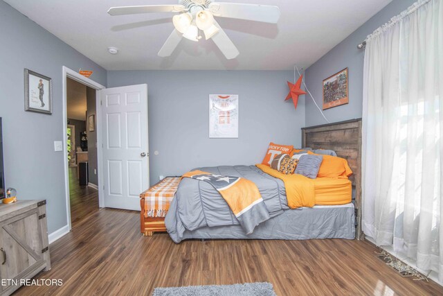 575 Golden Harvest Cir, Seymour, TN 37865 - photo 39