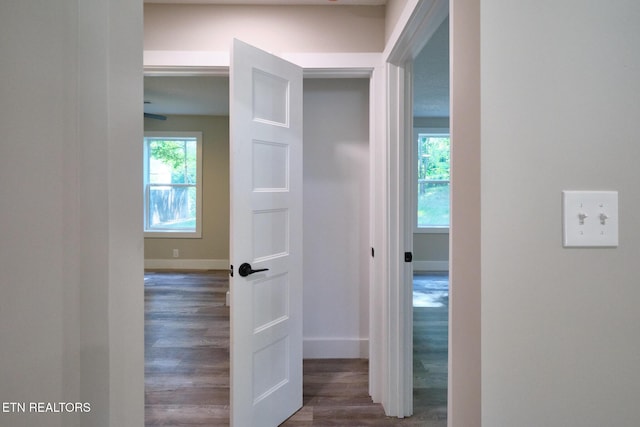 4610 Meadow Ct, Knoxville, TN 37920 - photo 26