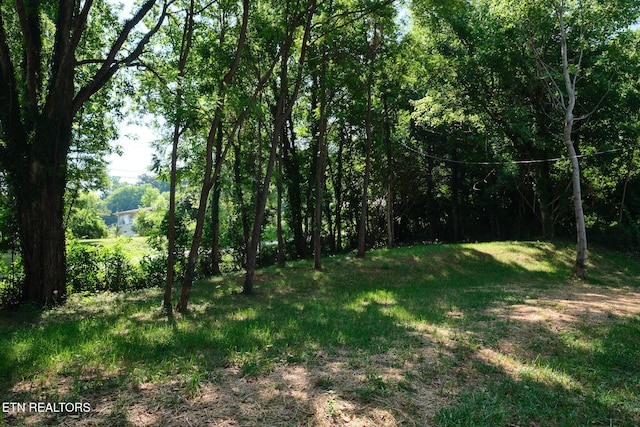 4610 Meadow Ct, Knoxville, TN 37920 - photo 30