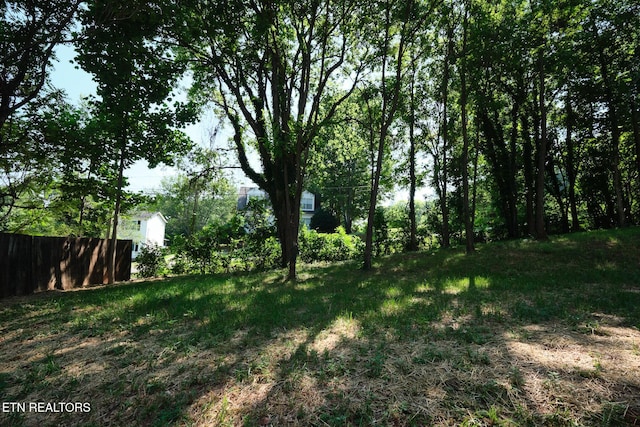 4610 Meadow Ct, Knoxville, TN 37920 - photo 31