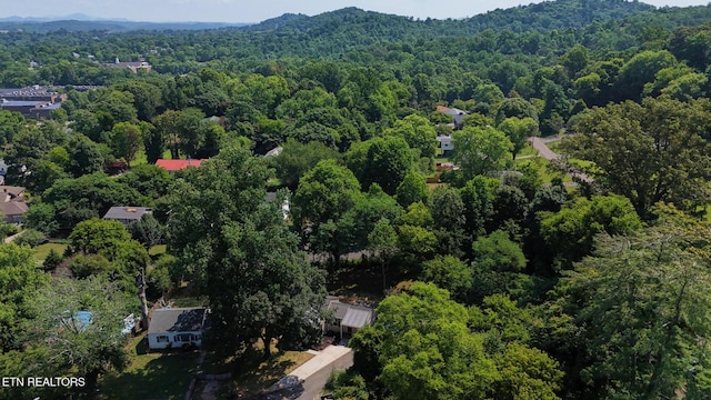 4610 Meadow Ct, Knoxville, TN 37920 - photo 40