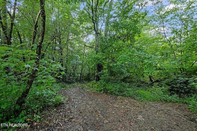 105 Johnson Gap Rd, Clinton, TN 37716 - photo 37