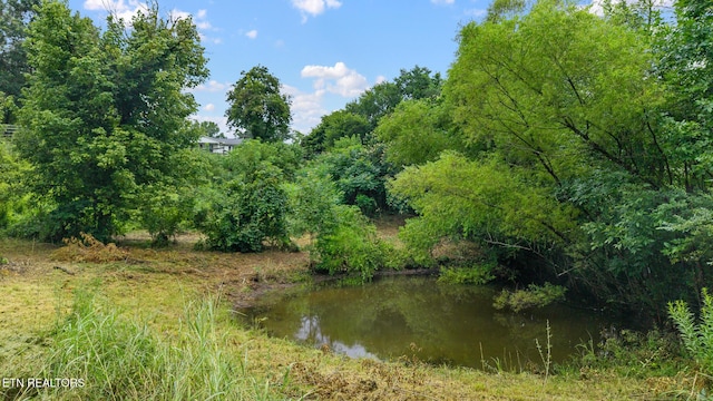 105 Johnson Gap Rd, Clinton, TN 37716 - photo 6