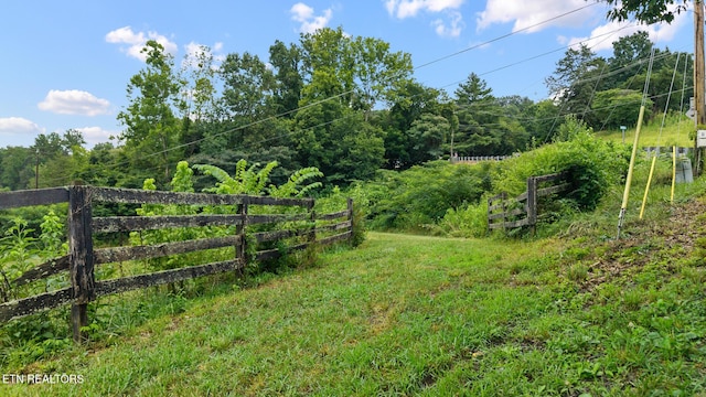105 Johnson Gap Rd, Clinton, TN 37716 - photo 47
