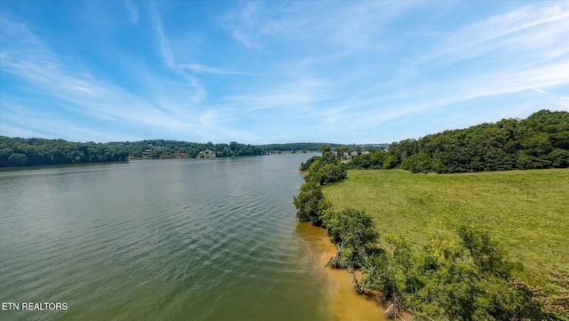 3843 Gravelly Hills Rd, Louisville, TN 37777 - photo 10
