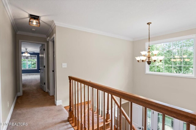 440 Indian Hills Rd, Oneida, TN 37841 - hallway featuring a chandelier, an upstairs landing, carpet flooring, and ornamental molding