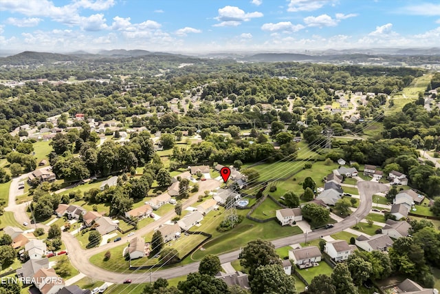4512 Castleman Ln, Knoxville, TN 37921 - photo 42