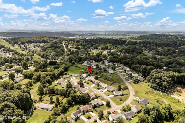 4512 Castleman Ln, Knoxville, TN 37921 - photo 22