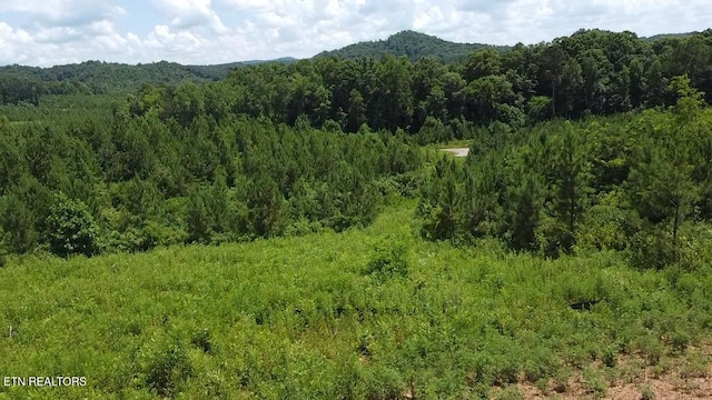 Three Point Rd, Vonore, TN 37885 - photo 2