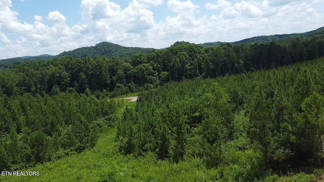 Three Point Rd, Vonore, TN 37885 - photo 3