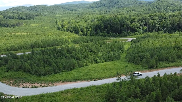 Three Point Rd, Vonore, TN 37885 - photo 4