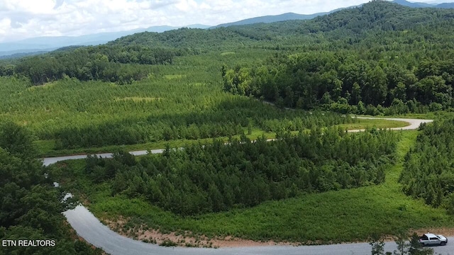 Three Point Rd, Vonore, TN 37885 - photo 5