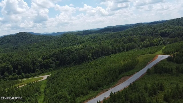 Three Point Rd, Vonore, TN 37885 - photo 6