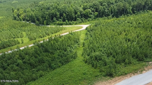 Three Point Rd, Vonore, TN 37885 - photo 7