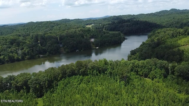 Three Point Rd, Vonore, TN 37885 - photo 9