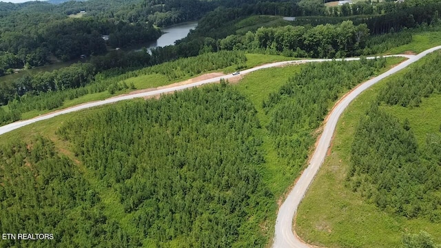 Three Point Rd, Vonore, TN 37885 - photo 11
