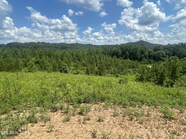 Three Point Rd, Vonore, TN 37885 - photo 12