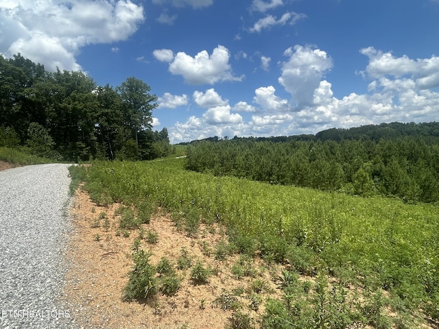 Three Point Rd, Vonore, TN 37885 - photo 13