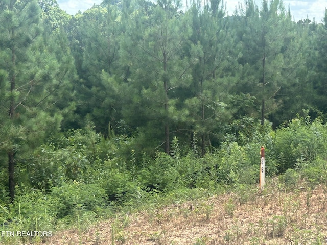 Three Point Rd, Vonore, TN 37885 - photo 14