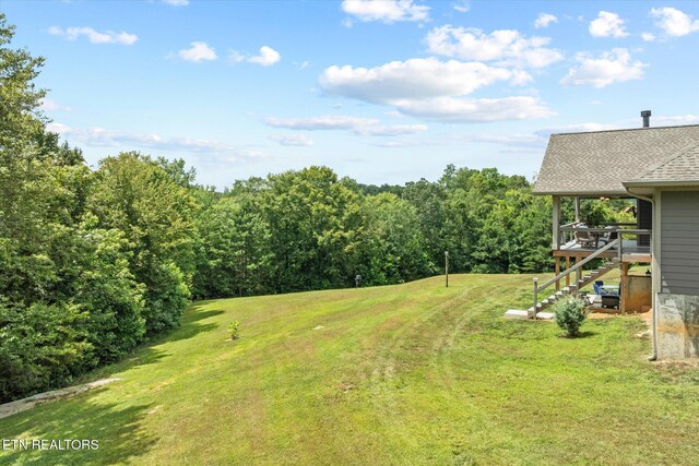 1721 Holly Bend Dr, Byrdstown, TN 38549 - view of green lawn with stairs