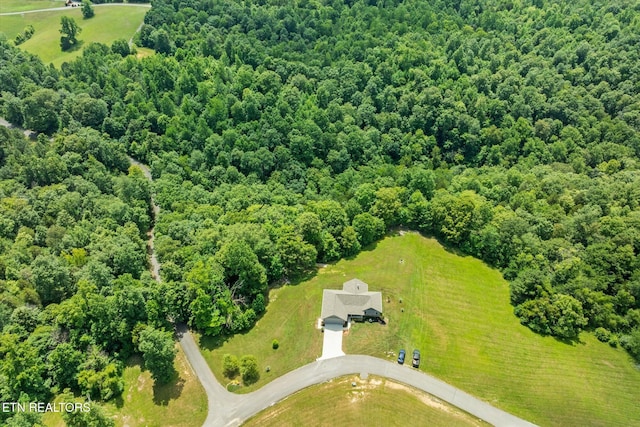 1721 Holly Bend Dr, Byrdstown, TN 38549 - bird's eye view of a forest
