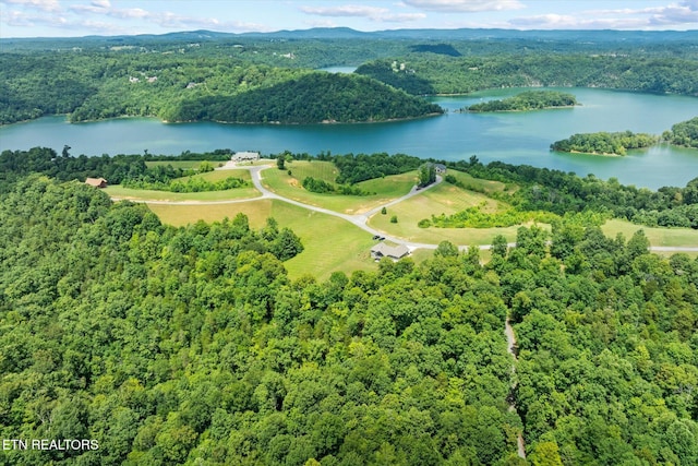 1721 Holly Bend Dr, Byrdstown, TN 38549 - aerial view of a large body of water and a heavily wooded area