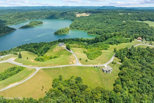 1721 Holly Bend Dr, Byrdstown, TN 38549 - bird's eye view of a nearby body of water and a heavily wooded area