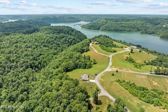 1721 Holly Bend Dr, Byrdstown, TN 38549 - bird's eye view of a large body of water and a forest