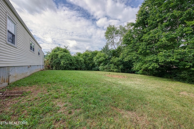 5601 Wil Loyd Dr, Knoxville, TN 37912 - photo 5