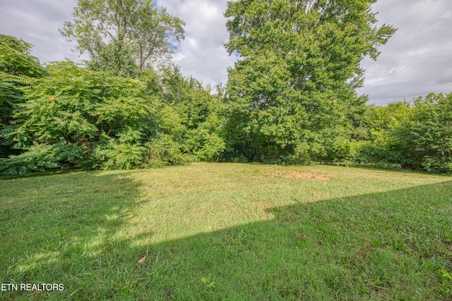 5601 Wil Loyd Dr, Knoxville, TN 37912 - photo 15