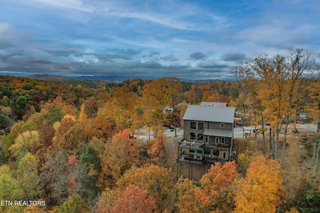 1167 Woodland Trek Ln, Sevierville, TN 37876 - photo 3