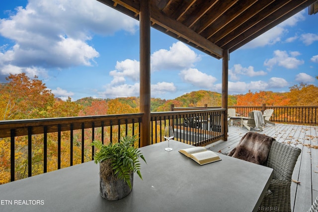1167 Woodland Trek Ln, Sevierville, TN 37876 - photo 58
