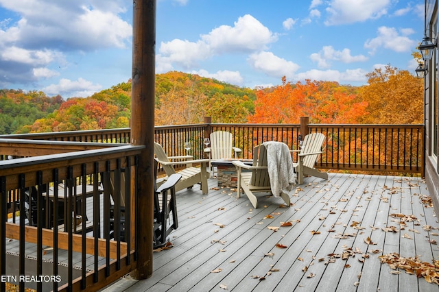 1167 Woodland Trek Ln, Sevierville, TN 37876 - photo 59